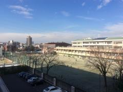 桜木小学校
