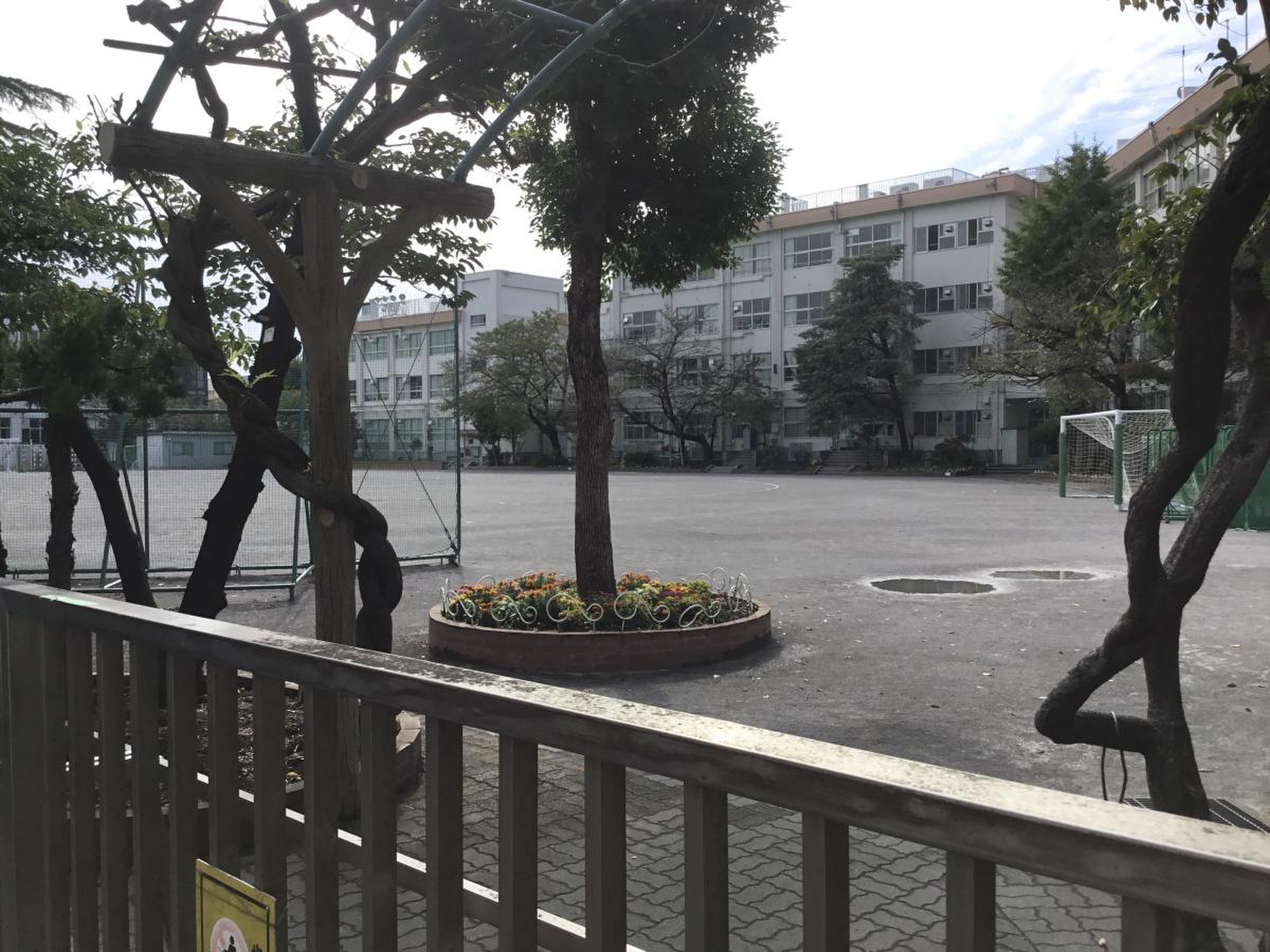 活動歴および当時の関連ビジュアル記録
