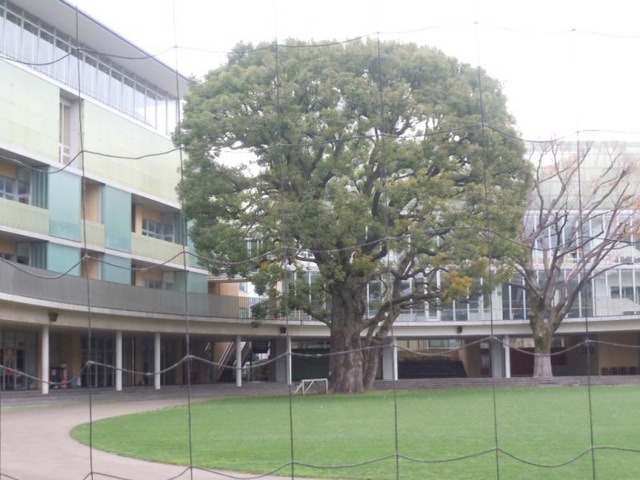 ★まーまるページ★【最新版】2026年度　青山学院初等部・暁星小学校 ☆まーまるページ☆【最新版】2026年度 青山学院初等部・暁星