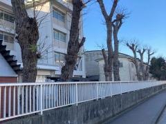 横須賀市立追浜中学校