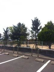 浜山あおい保育園