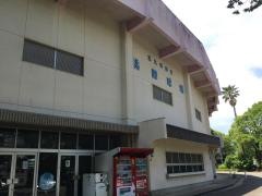 桃園球場