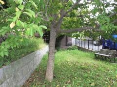 松崎1号緑地