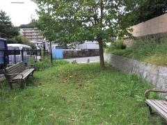 松崎1号緑地