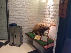 豚肉創作料理やまと銀座本店