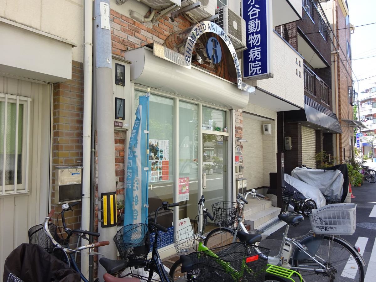 清水谷動物病院