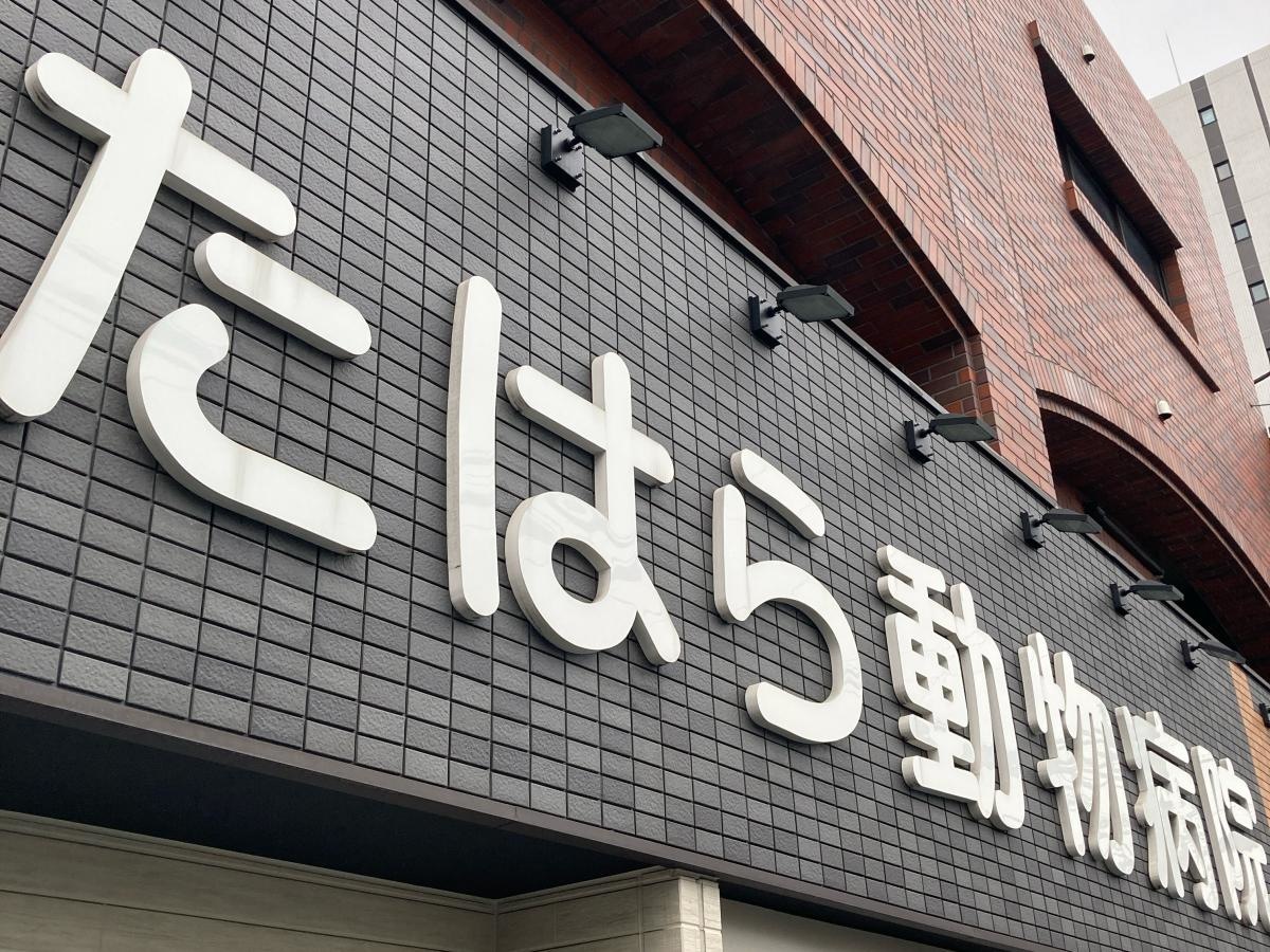 たはら動物病院の施設外観です。