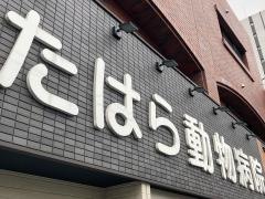 たはら動物病院