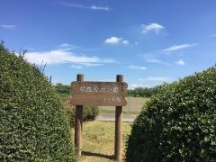 桃畑緑地公園