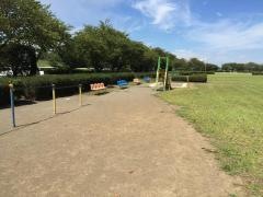 桃畑緑地公園