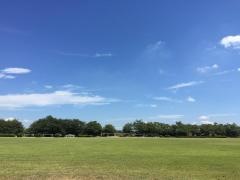 桃畑緑地公園
