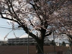 岡部西小学校