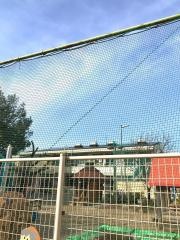 若草保育園