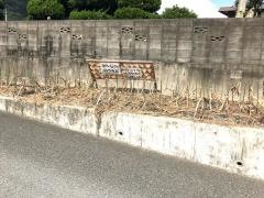 青い鳥保育園