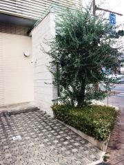 うえき内科クリニック