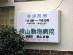 横山動物病院