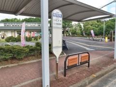 「郷土の森正門前」バス停留所