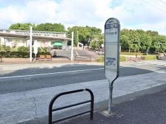 「郷土の森正門前」バス停留所