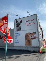 ローズマリー　岡崎大樹寺店