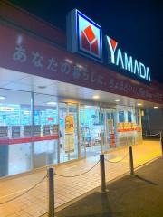 ヤマダ電機　テックランド岩沼店