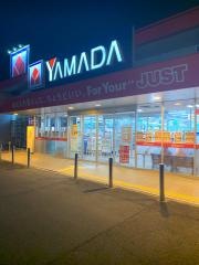 ヤマダ電機　テックランド岩沼店