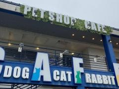 ペットショップＣｏｏ&ＲＩＫＵ　江の島店
