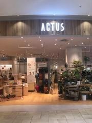 アクタス・さいたま新都心店