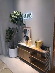 アクタス・さいたま新都心店