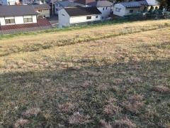 緑ケ丘1号緑地