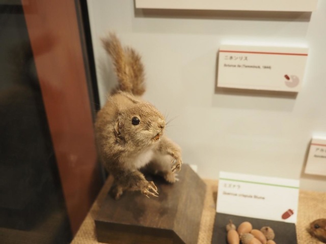 投稿写真7