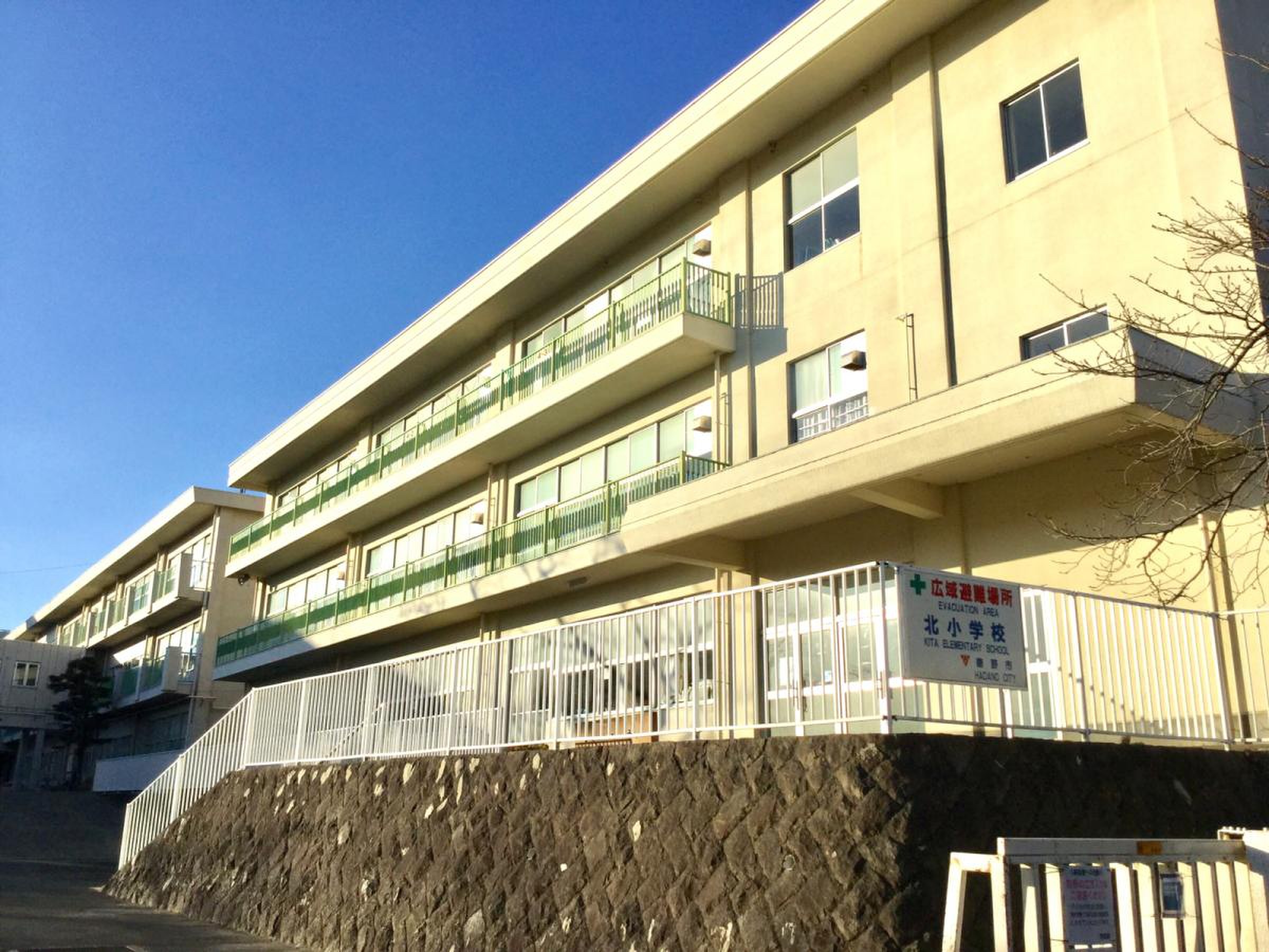 公の場での発言・インタビュー報道記録