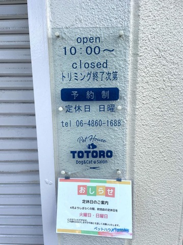 投稿写真2