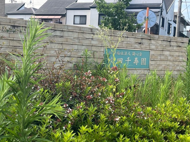 特別養護老人ホーム吹田千寿園