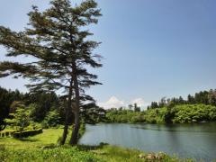 新堤自然公園