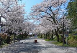 黒羽小学校
