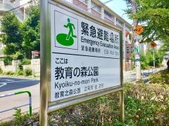 教育の森公園