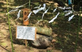 国府祭