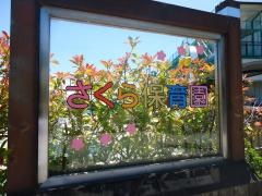 さくら保育園