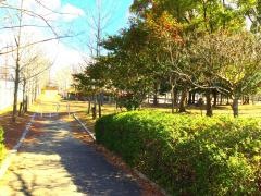 鳥屋近隣公園