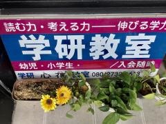学研　心花教室