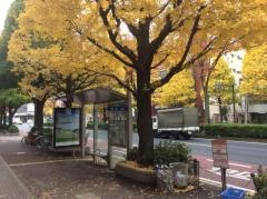 「宮前」バス停留所
