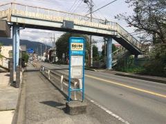 「開成小学校(新道)」バス停留所