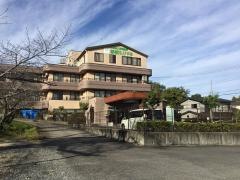 太陽の森