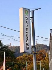 つくい湖犬猫の病院