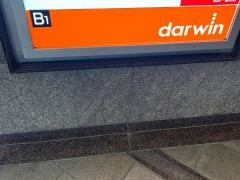 ｄａｒｗｉｎ