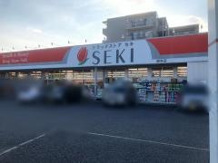 ドラッグストアセキ姫宮店