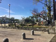 東山の下小学校