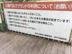 舞子台緑地