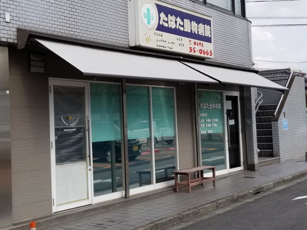 たばた動物病院