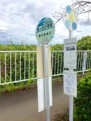 「桜が丘小学校」バス停留所